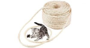 A kitten playing with a roll of sisal rope.