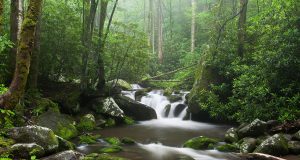 Stream waterfall through Great Smokey Mountains National Park