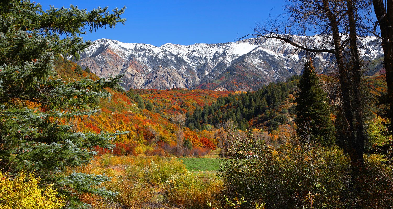 View of the Colorado Rockies from Gunnison National Forest